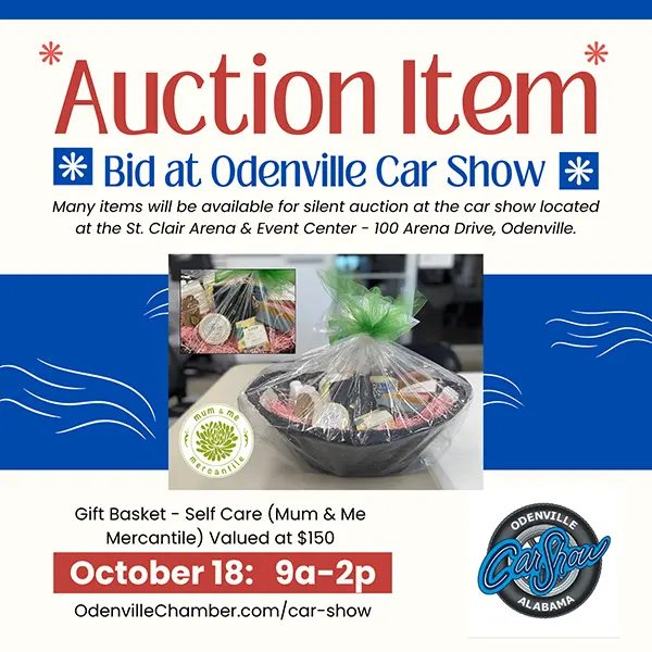ocs 2025 auction_self care_600